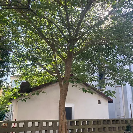 Casa Elisa 8 Tatil Evi Bellaria-Igea Marina