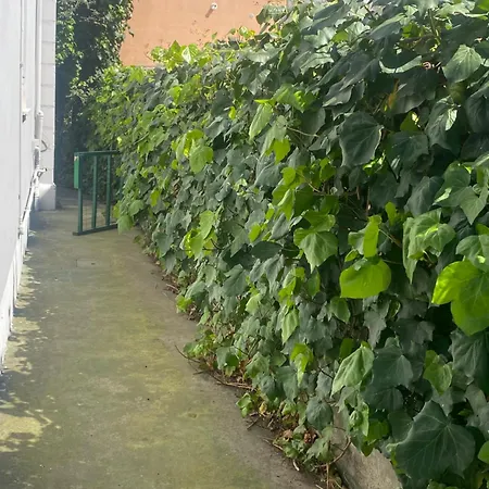 Casa Elisa 8