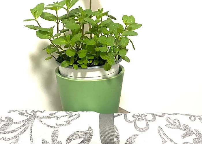 Casa Elisa 8 * בלריה-איגאה מרינה